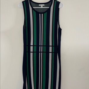 New York & Company Navy, Green and White Striped Midi Dress